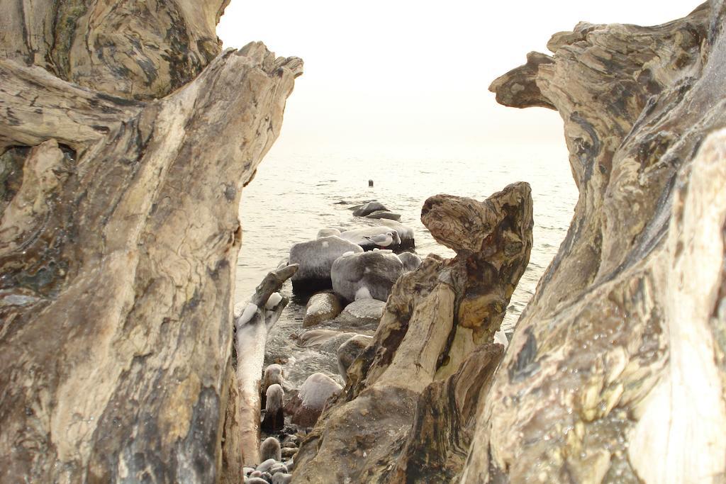 Ferienwohnung In Sassnitz Ruegen Naehe Weltnaturerbe Kreidekueste Luaran gambar