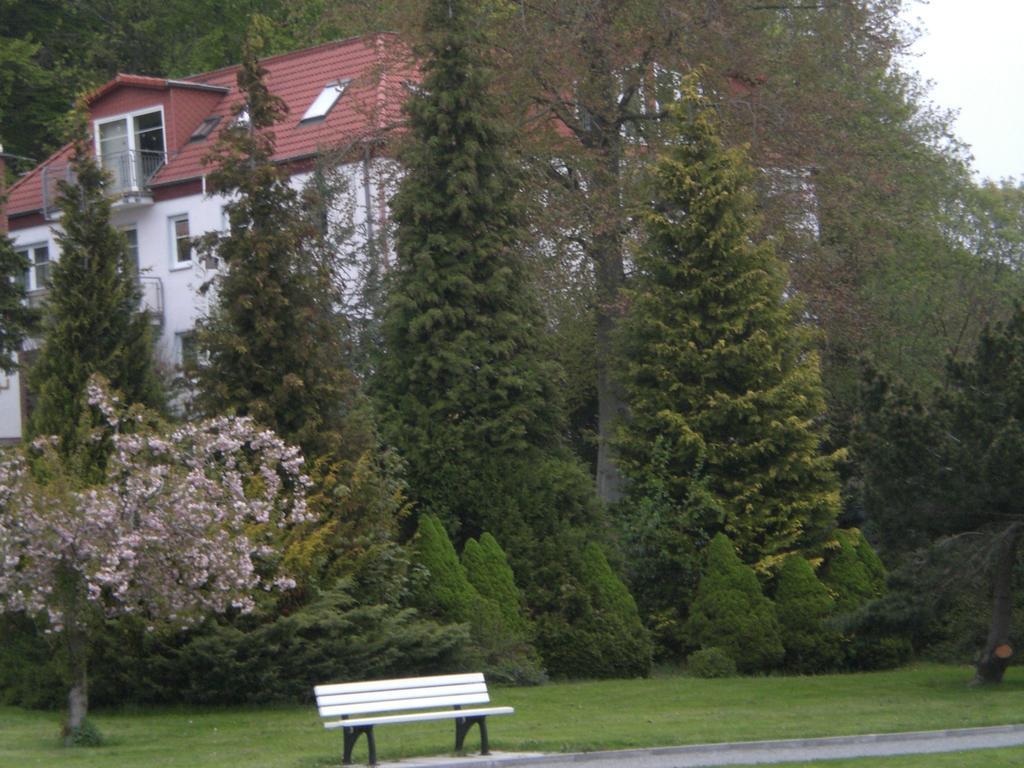 Ferienwohnung In Sassnitz Ruegen Naehe Weltnaturerbe Kreidekueste Luaran gambar